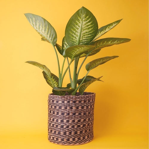 14" Small Spiral Seagrass Planter Shelf Basket